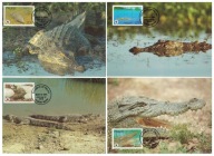 5-GK64- Palau,WWF,1994, Krokodyle