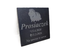 Personalizowany nagrobek dla Świnki Morskiej z łupku 10x10 cm świnka morska
