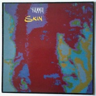 PETER HAMMILL - Skin 1st UK Pr Ex LP 024