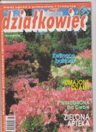 DZIAŁKOWIEC 5/1999 Ogród