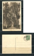 K13958) Niemcy: Bad Pretzsch, Kurpark, gelaufen 1926