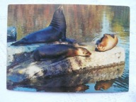 WARSZAWA ZOO UCHATKI - PIECZĄTKA Z ZOO