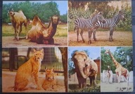 Wrocław - Ogród zoologiczny