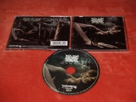 SEVERE TORTURE Fall Of The Despised 2005