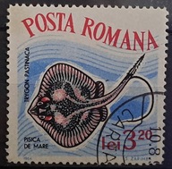 Ryby (kas) - luzak - do uzupełnień 13/6