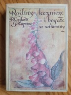 Rośliny lecznicze i bogate w witaminy , CZIKOW