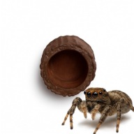 KRYJÓWKA DLA SKAKUNA DZIUPLA MALOWANA RĘCZNIE NA MAGNES