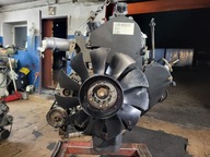 SILNIK KOMPLETNY 2.3 JTD IVECO DAILY F1AE 2,3 JTD IVECO MULTI JET 2.3 HPI