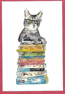 Kot kotek koty rasa harce kot w życiu człowieka pocztówka