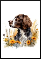 A2 PLAKAT PIES W KWIATACH RASA SPANIEL BRETOŃSKI
