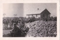 056P ŻOŁNIERZE WEHRMACHT GOSPODARSTWO KONIE 4 IX KAMPANIA WRZEŚNIOWA POLSKA