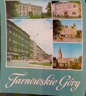 Tarnowskie Góry Mozaika