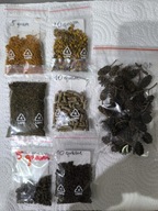 Pokarmy dla Krewetek 6 sztuk plus szyszki olchy czarnej