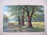ZAGINIONY ŚWIAT NA PASTWISKU POD STARYMI DĘBAMI przedwojenna POCZTÓWKA OLEJ