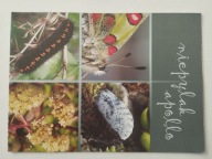 PIENINY PARK NARODOWY - MAP/INFO - TEN PRZEDMIOT - LASY