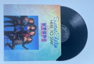 Sister Sledge Here To Stay ("Playing For Keeps" Anthem) Winyl