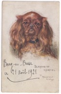 Pies psy Blenheim Spaniel Artists Maud West Watson 1921r.