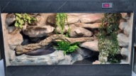 Terrarium dla węża 120x50x40 z wyposażeniem na zamówienie
