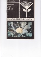 Warzywa przez cały rok kalafior brokuł kalarepa