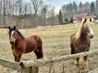 Działka, Wisła, Cieszyński, 693 m²