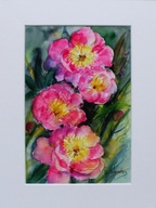 Akwarela pt. Piwonie 55