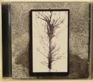 IVY GARDEN OF THE DESERT - I Ate ... - CD NASONI