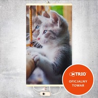 Grzejnik ścienny (Grzejący obraz) Kot z regulatorem