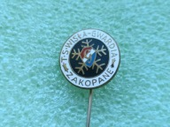 Oryg Odznaka- TS WISŁA-GWARDIA ZAKOPANE Towarzystwo Sportowe założona 1926r