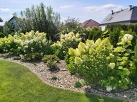 Dom, Czarna Łąka, Goleniów, Goleniowski, 170 m²