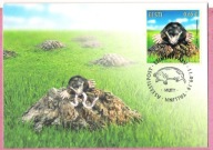 Estonia 2019, MC FDC fauna, kret europejski