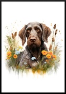 A2 PLAKAT PIES W KWIATACH RASA WYŻEŁ NIEMIECKI SZORSTKOWŁOSY