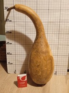 Tykwa zdrewniały owoc