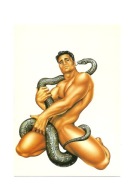 Pocztówka - Boa Restrictor / Fritz of Holland ...