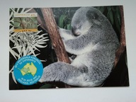 Australia Miś Koala - pocztówka ze stemplem, naklejką z Adelejdy 1997