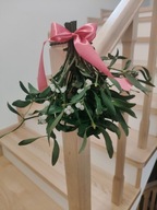 JEMIOŁA POSPOLITA ŻYWA BIAŁE OWOCE OZDOBA NA BOŻE NARODZENIE