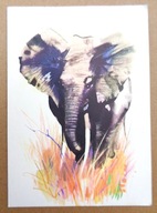 GRABIAŃSKI JANUSZ - SŁOŃ - GRAFIKA AUTORSKA pocztówk z lat 60-ych