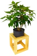 Drewniana podstawka kwadratowa 25 cm – stojak pod doniczkę industrialny