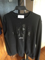 Paprocki brzozowski bluza xl unisex