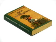 Ania na Uniwersytecie - Lucy Maud Montgomery