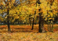 Jesienny park" obraz olejny na płótnie 30x40cm , oryginał Garncarek Al,,,