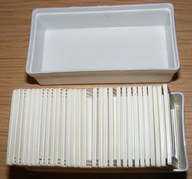 RÓŻNORODNOŚĆ MSZAKÓW I PAPROTNIKÓW SLAJDY