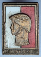 Odznaka Wzorowy Żołnierz wym. 31x22 mm