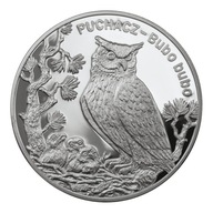 20 zł POLSKA 2005 PUCHACZ - Bubo bubo Ag925 stan L kapsel quadrum