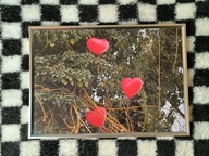 Zdjęcie A4 z warsztatów fotograficznych WOŚP + pamiątka niespodzianka