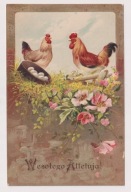 Kogut i kura Różę 1909r. LITOGRAFIA tłoczona POLSKA do Belgi