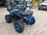 XTR Discovery PRO 125 Quad,Kład na rynku HIT