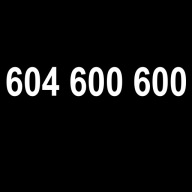 ZŁOTY NUMER, PLATYNOWY NUMER 604 600 600