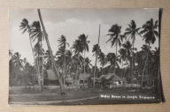 Singapore Malay Houses Jungle kolonialna pocztówka fotografia egzotyka
