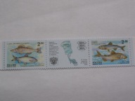 Rosja - ryby z jeziora Pejpus - Mi. 861-62 ** trójka