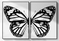 A2 ZESTAW DWÓCH PLAKATÓW PLAKAT MOTYL SKRZYDŁA MOTYLA BIAŁO-CZARNY